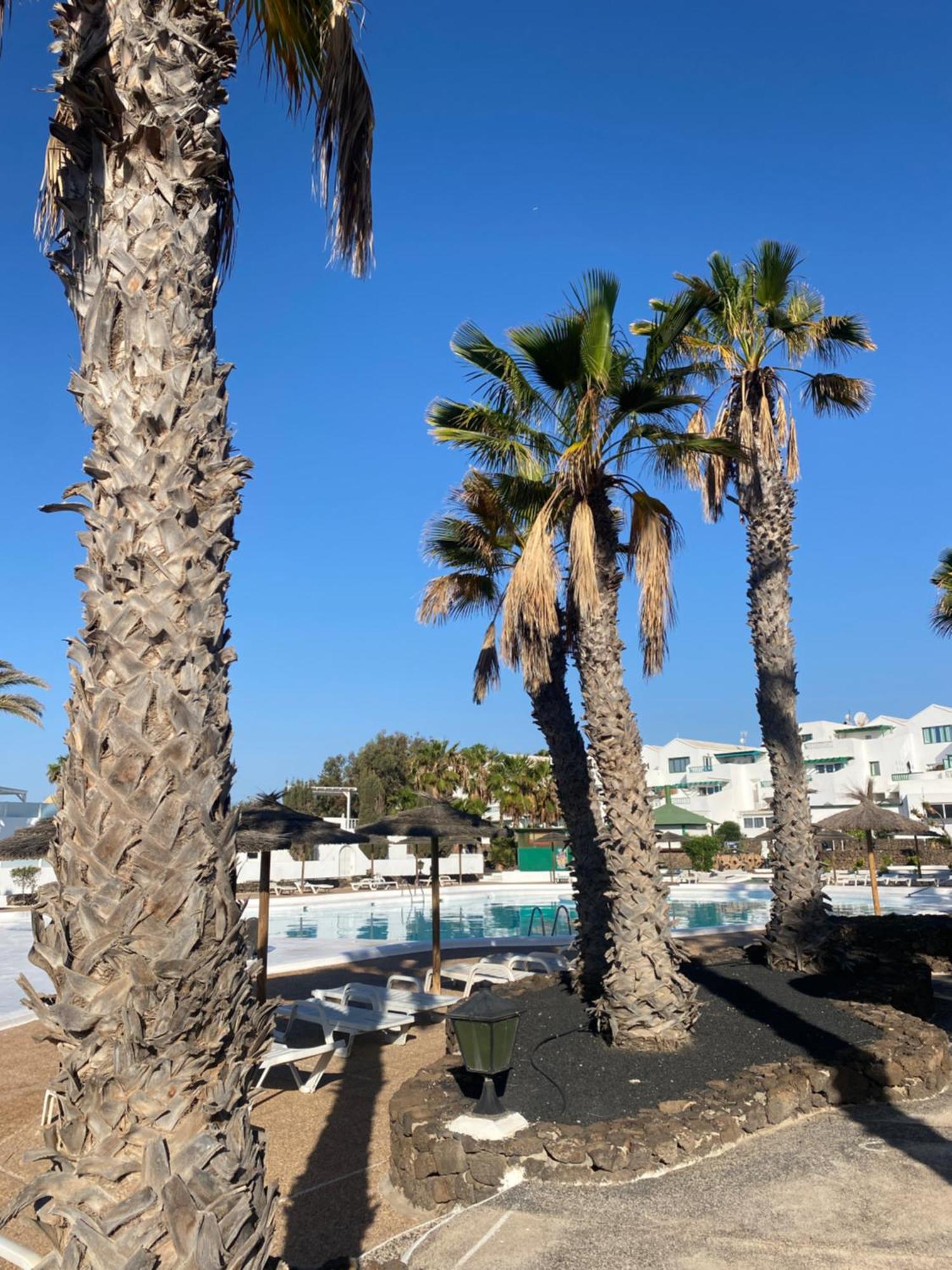 First Floor Apartment With Sea View, Costa Teguise Bagian luar foto